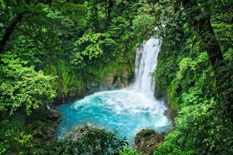 Pura Naturaleza, Pura Vida 